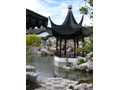 Dunedin Chinese Garden 2